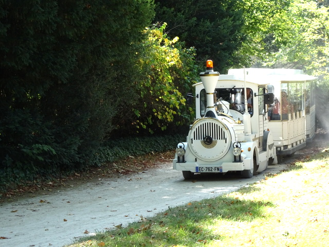 Petit train à Fontainebleau Petit train à Fontainebleau