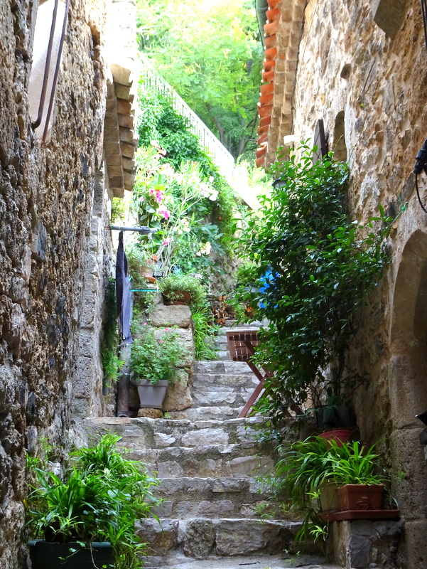 Que faire à Saint-Guilhem-le-Désert ? Que faire à Saint-Guilhem-le-Désert ?