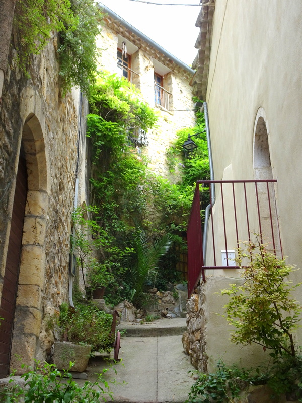 Que faire à Saint-Guilhem-le-Désert ? Que faire à Saint-Guilhem-le-Désert ?
