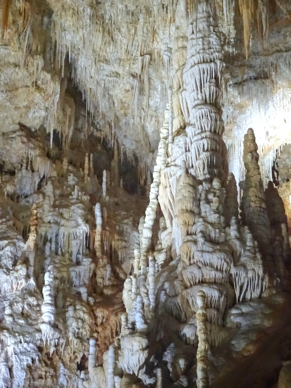 Que voir à la grotte de Clamouse ? Que voir à la grotte de Clamouse ?