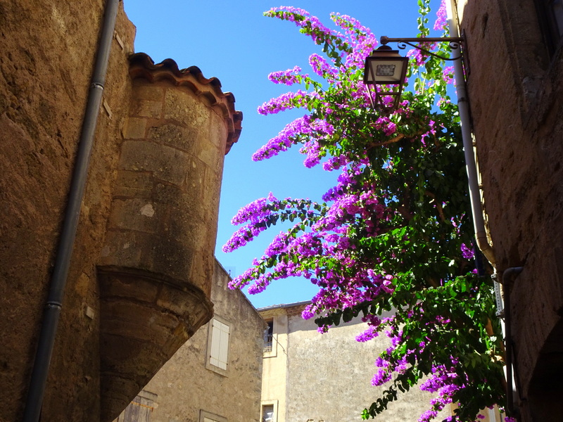 L'architecture des bâtiments de Pézenas