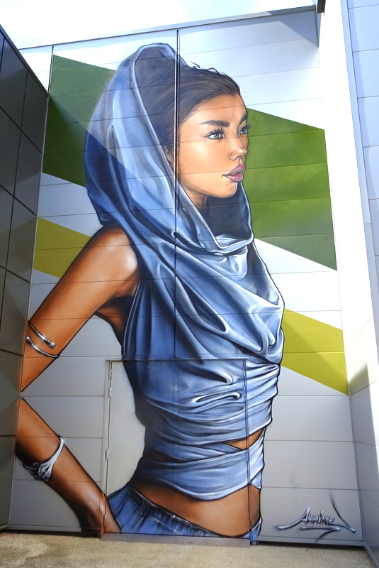 Le street art au Clos du Chêne (Montévrain) Le street art au Clos du Chêne (Montévrain)