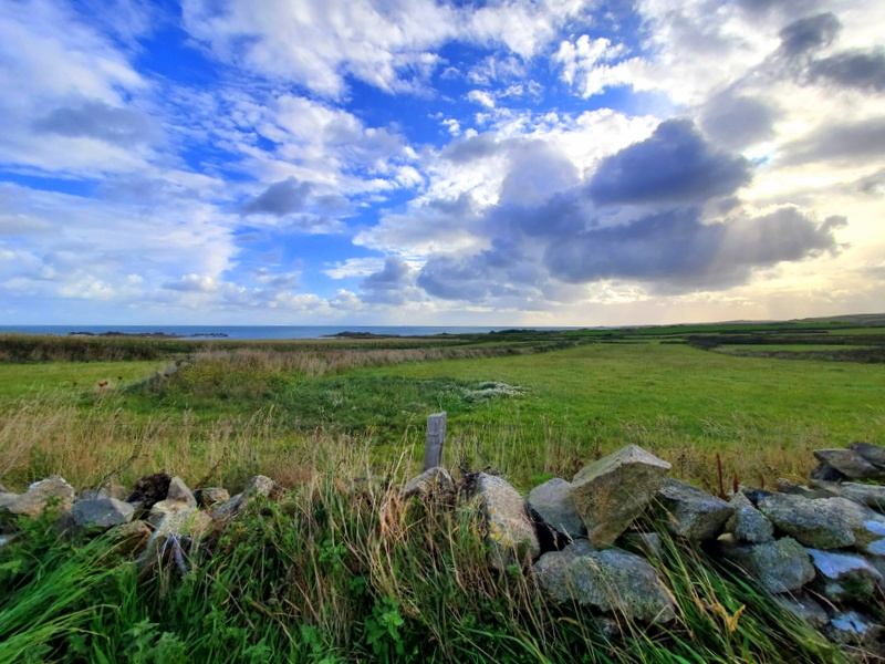 Découvrir la Pointe de la Hague : 'la petite Irlande' du Cotentin Découvrir la Pointe de la Hague : 'la petite Irlande' du Cotentin