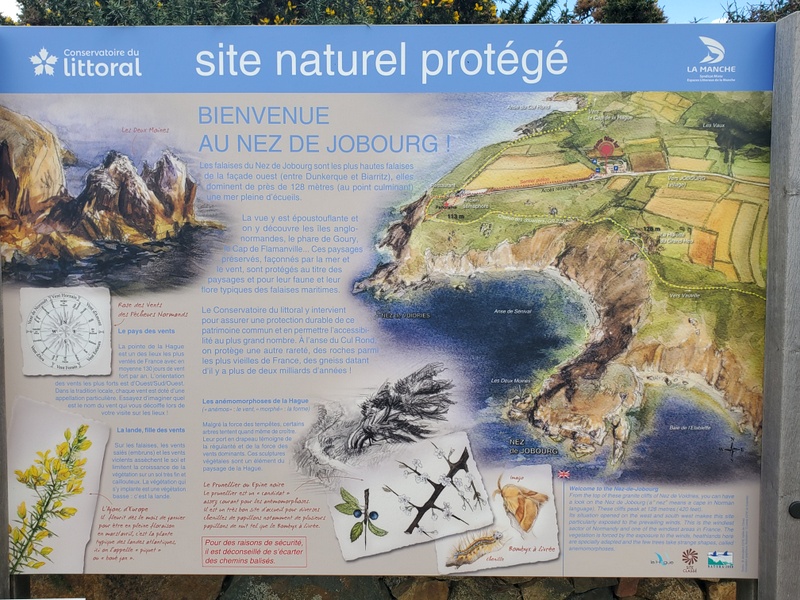 Le Nez de Jobourg Le Nez de Jobourg 2