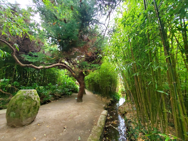 Le jardin botanique de Vauville Le jardin botanique de Vauville