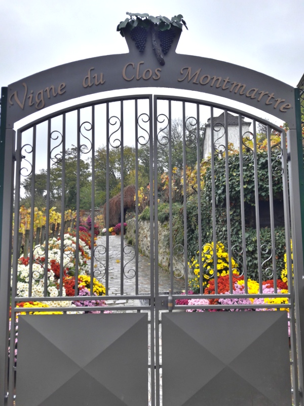 Les vignes de Montmartre Les vignes de Montmartre