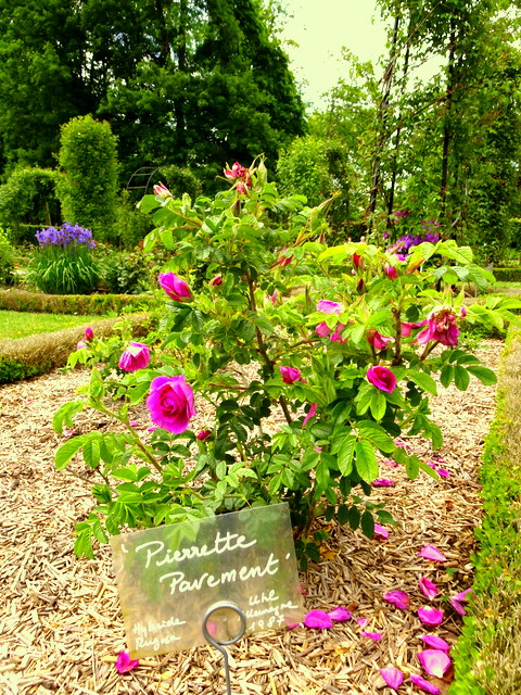 Châteaux près de Paris : le Domaine de Chaalis (Oise) Châteaux près de Paris : le Domaine de Chaalis (Oise)