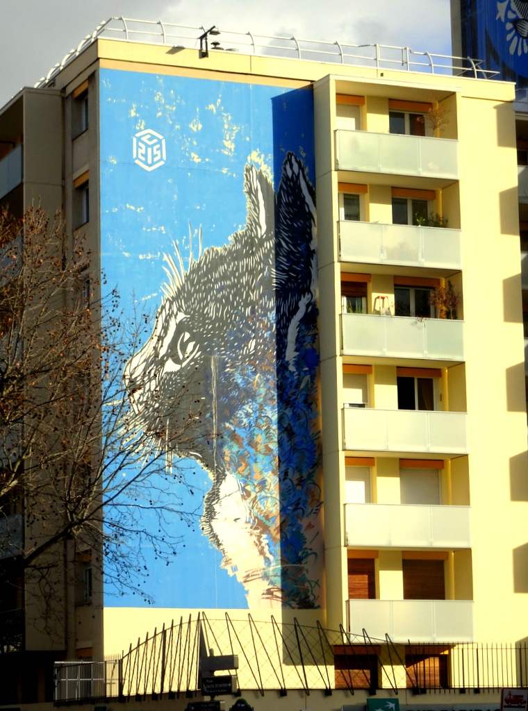 Street art boulevard Paris 13 C215 Street art boulevard Paris 13 C215