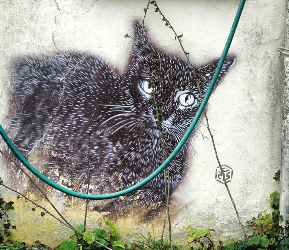 Street art Seine-et-Marne Montry C215 Street art Seine-et-Marne Montry C215