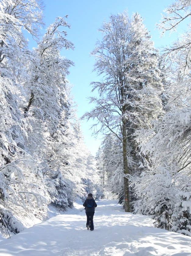 Vosges en hiver : randonnée à la Bresse-Hohneck Vosges en hiver : randonnée à la Bresse-Hohneck 3