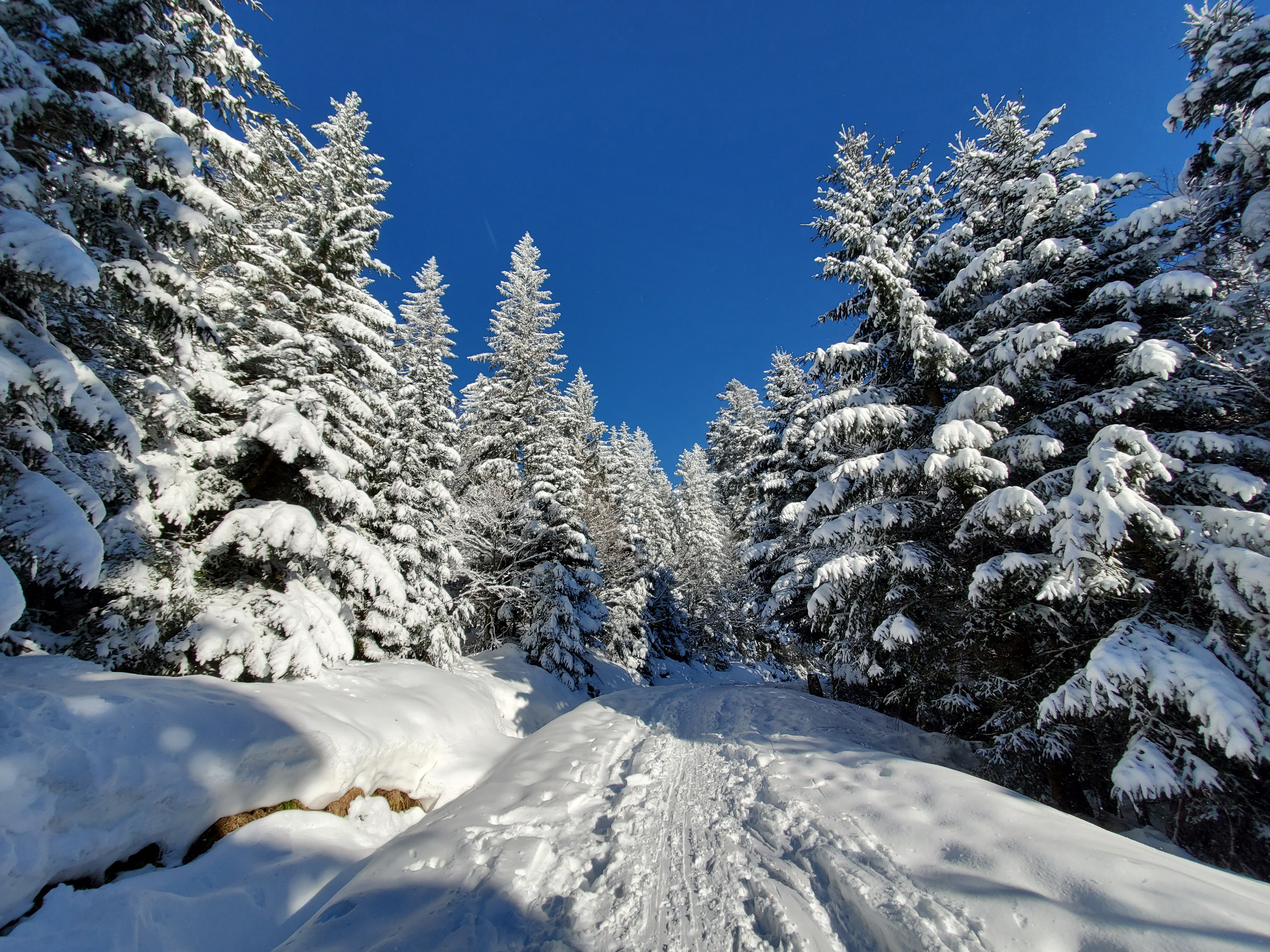 La Bresse La Bresse