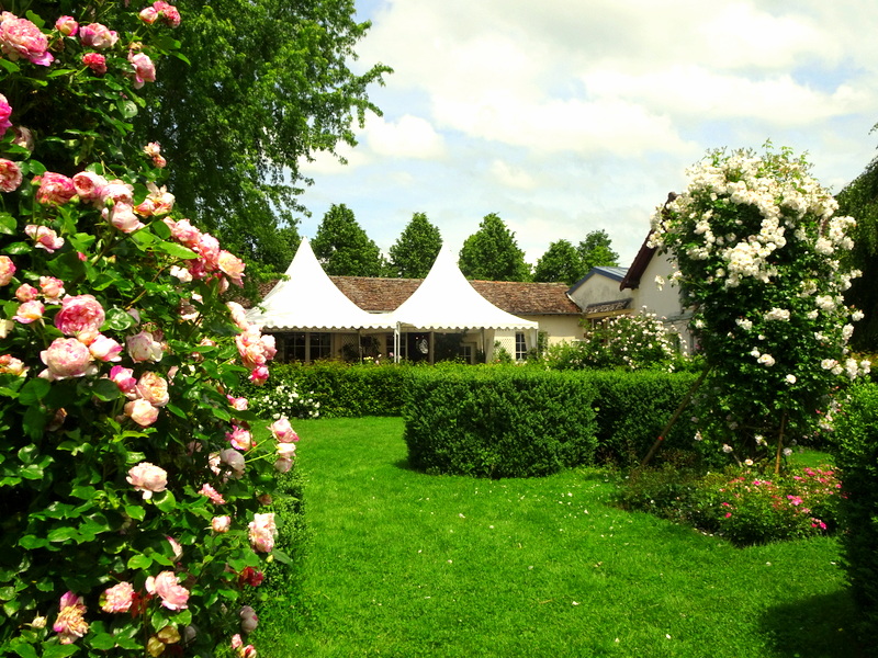La Roseraie de Provins salon de thé La Roseraie de Provins salon de thé