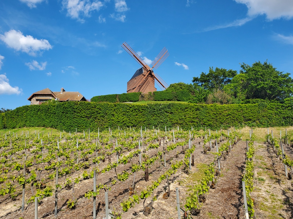 Partir en avril en France : La Champagne Partir en avril en France : La Champagne