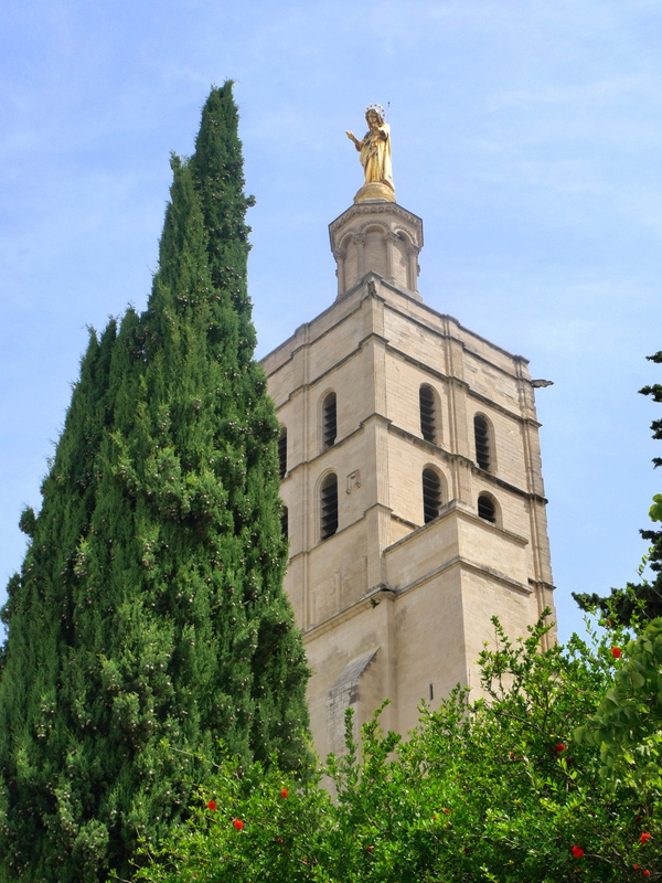 La cathédrale des Doms La cathédrale des Doms