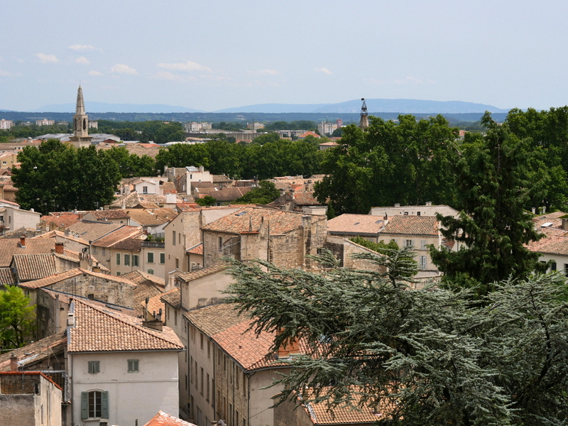 Vue sur Avignon depuis le Rocher des Doms Vue sur Avignon depuis le Rocher des Doms