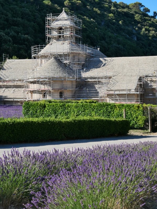 Que faire en Provence : visiter l'abbaye de Sénanque Que faire en Provence : visiter l'abbaye de Sénanque