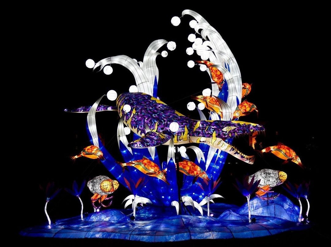 Le Festival des Lumières au Jardin des Plantes Noël à Paris