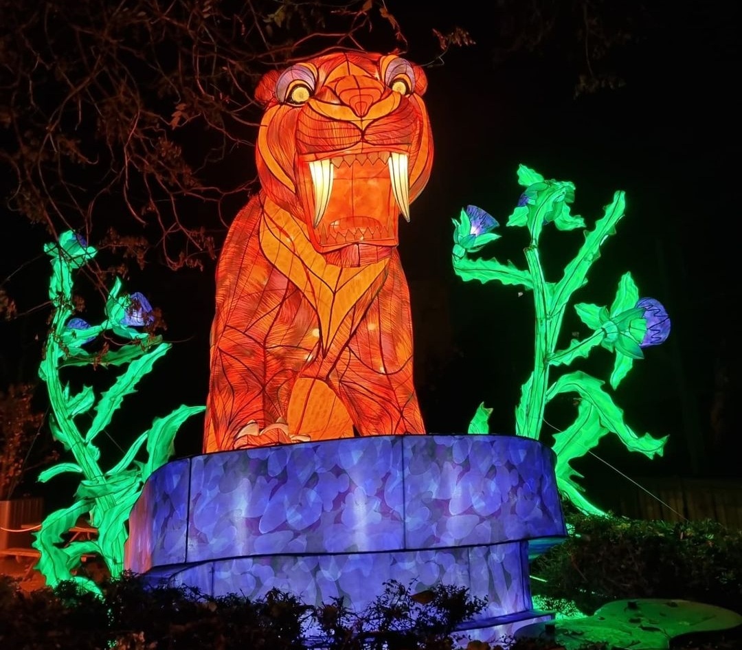 Le Festival des Lumières au Jardin des Plantes Le Festival des Lumières au Jardin des Plantes 3