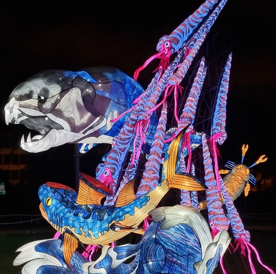 Le Festival des Lumières au Jardin des Plantes Le Festival des Lumières au Jardin des Plantes 2