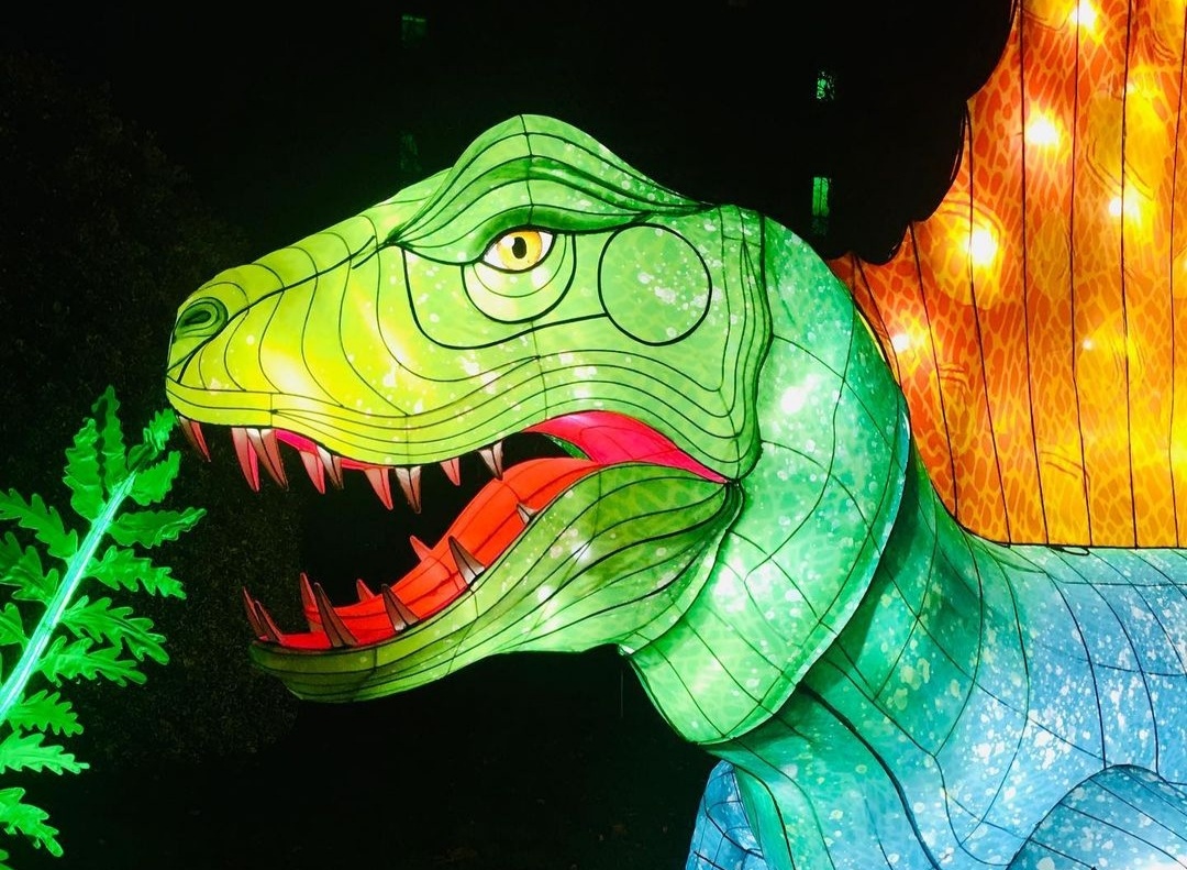 Le Festival des Lumières au Jardin des Plantes Le Festival des Lumières au Jardin des Plantes 4