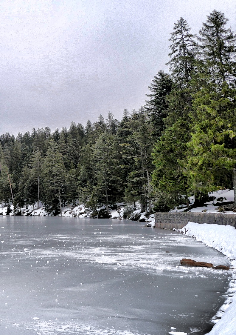 Vosges en hiver : randonnée au Tanet 3 Vosges en hiver : randonnée au Tanet 3