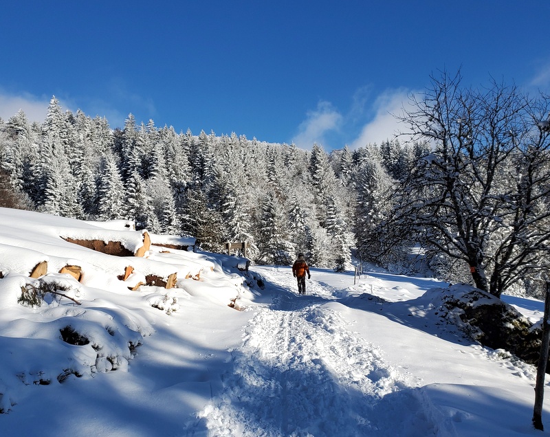 Séjour au ski en famille La Bresse-Hohneck Séjour au ski en famille La Bresse-Hohneck