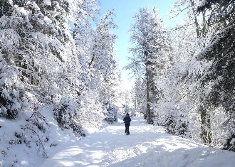 La Bresse-Hohneck Vosges La Bresse-Hohneck neige