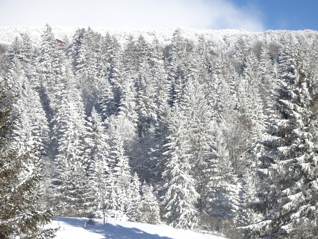 La Bresse-Hohneck Vosges La Bresse-Hohneck Vosges