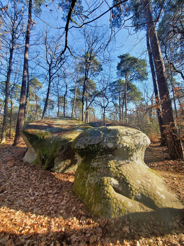Forêt de Fontainebleau chaos de rochers Forêt de Fontainebleau chaos de rochers