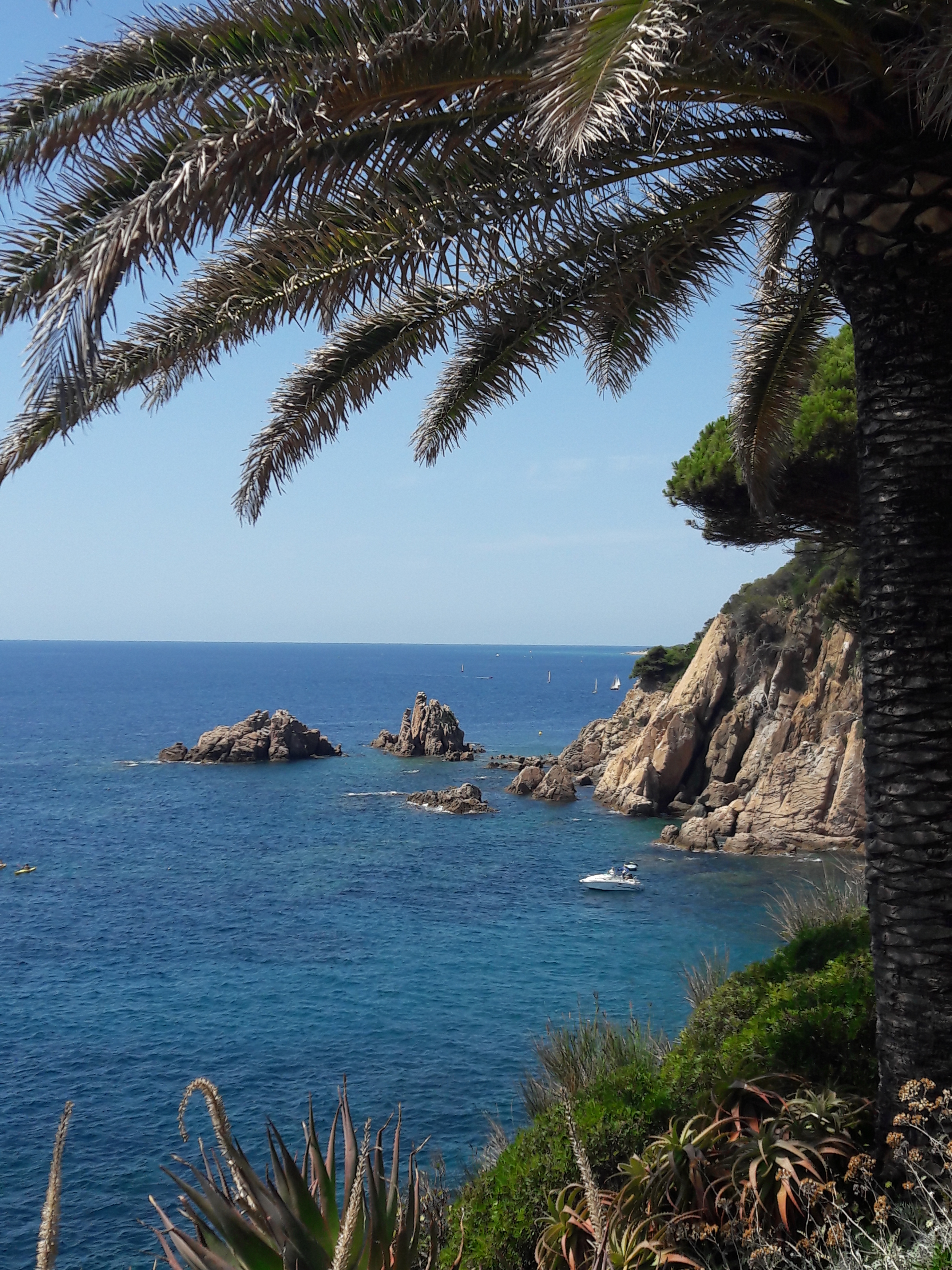 Visiter la Costa Brava : Jardin Marimurtra Visiter la Costa Brava : Jardin Marimurtra