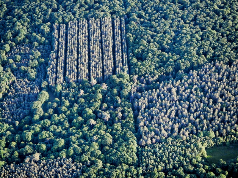 Montgolfière Survol Touraine Montgolfière Survol Touraine