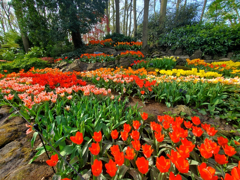 Keunkenhof parc floral Keunkenhof parc floral