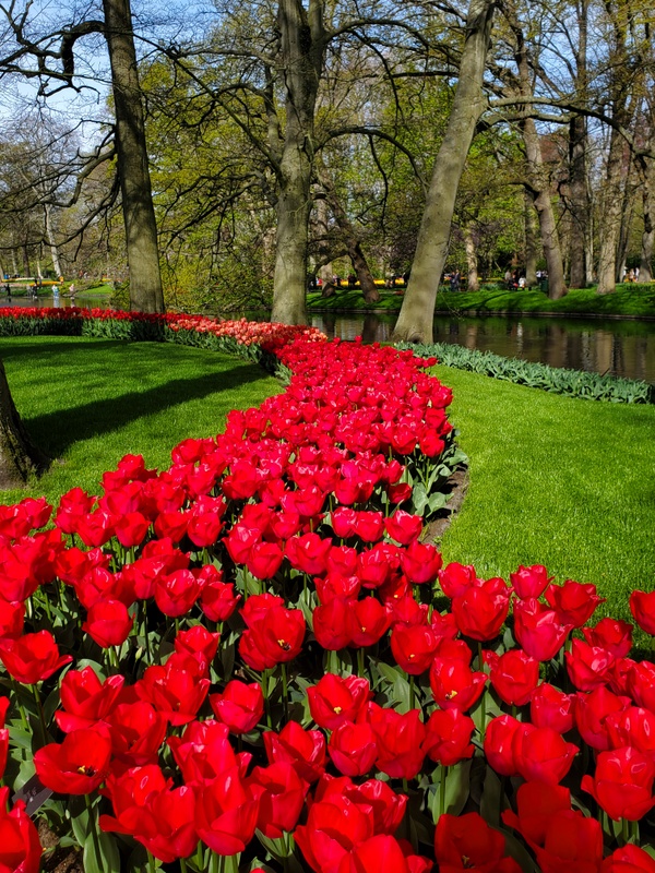 Visites à faire autour de Amsterdam : Keunkenhof Visites à faire autour de Amsterdam : Keunkenhof