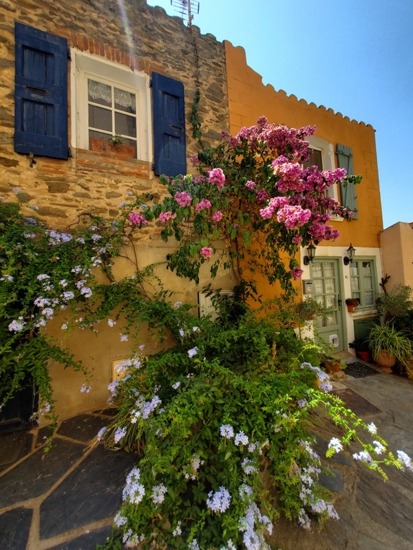 Collioure