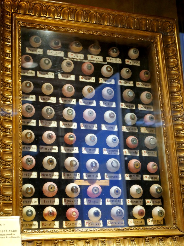 Musée d'Histoire de la Médecine Musée d'Histoire de la Médecine