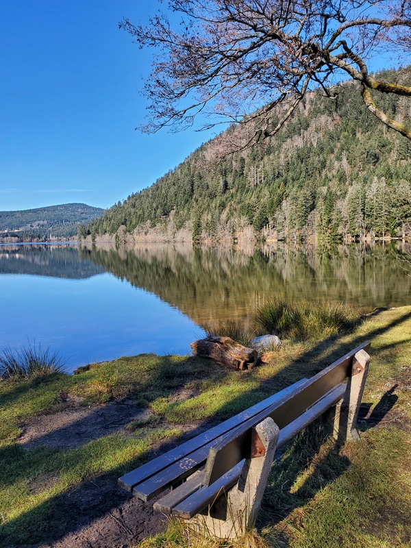 Que faire dans les Vosges ? Lac de Longemer Que faire dans les Vosges ? Lac de Longemer