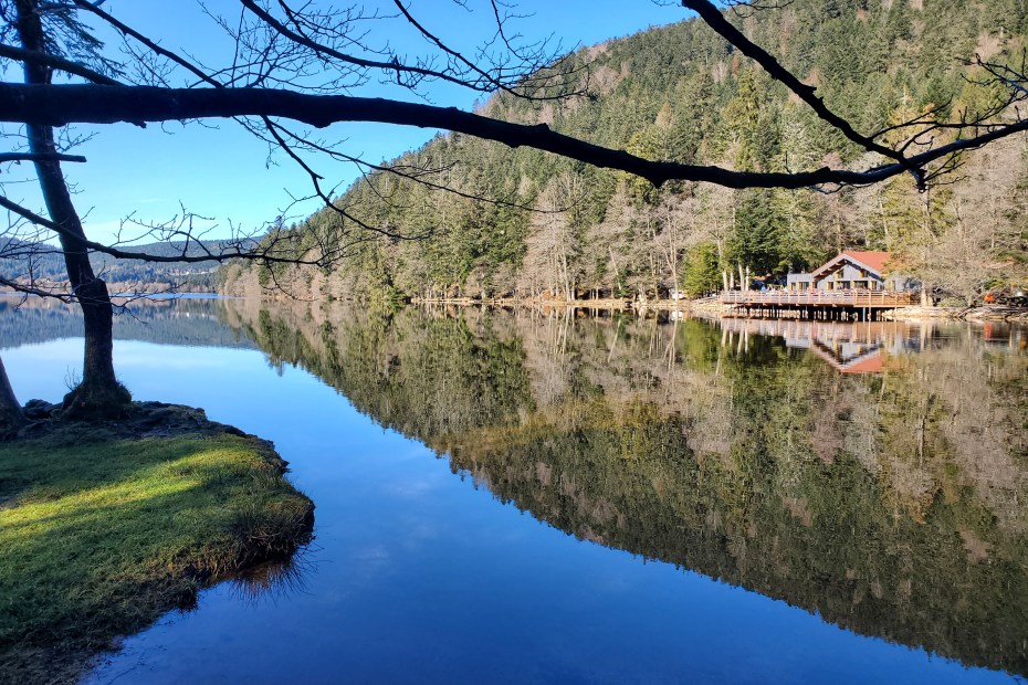 Que faire dans les Vosges ? 7 activités pour déconnecter !