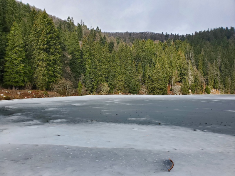 Randonnée autour du Lac Vert Randonnée autour du Lac Vert
