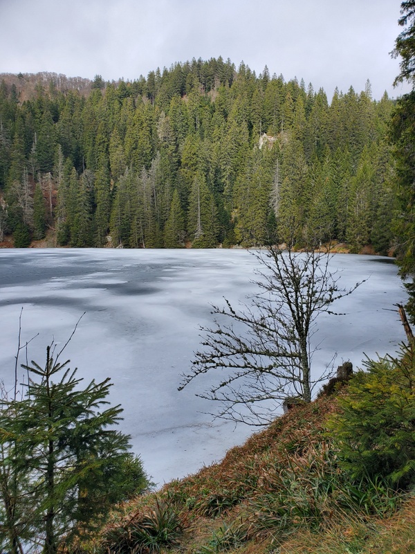 Randonnée autour du Lac Vert Randonnée autour du Lac Vert