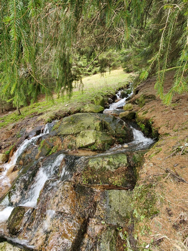 Randonnée autour du Lac Vert Randonnée autour du Lac Vert