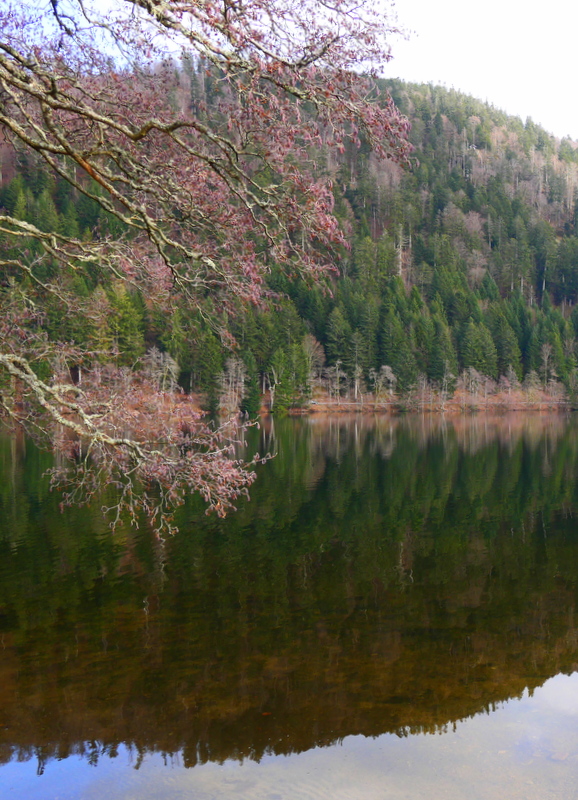 Que faire dans les Vosges ? Lac de Longemer Que faire dans les Vosges ? Lac de Longemer