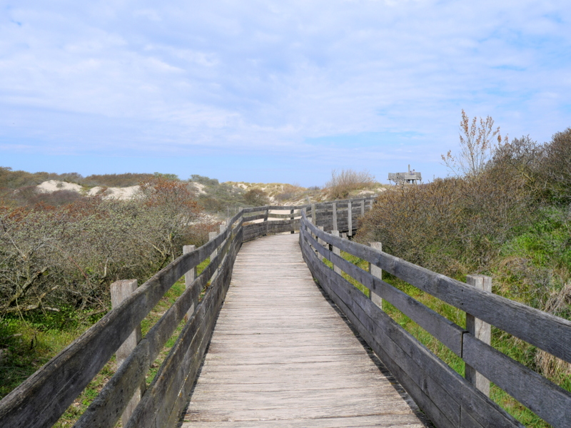 Baie de la Canche Dunes Baie de la Canche Dunes