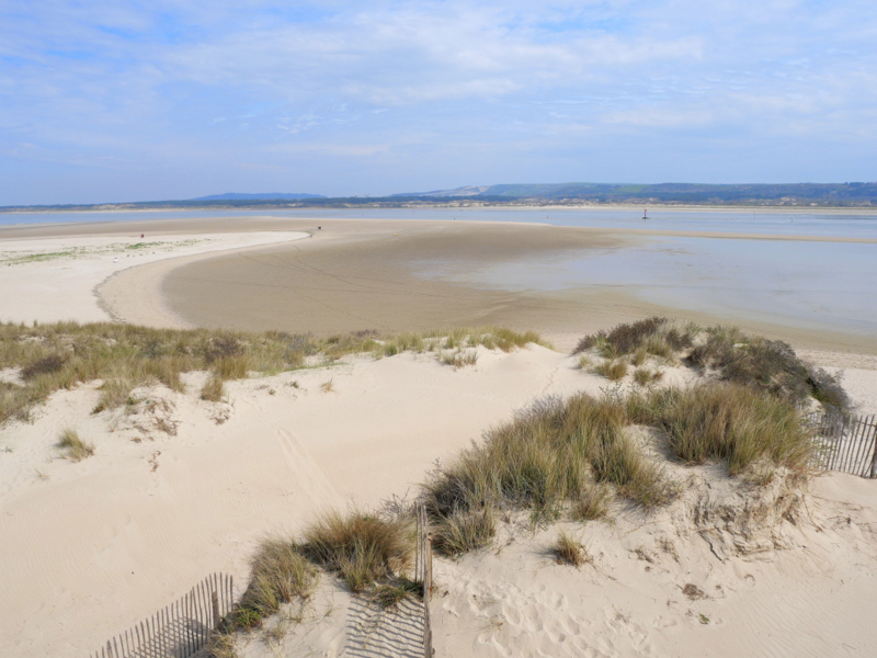 Dunes au Touquet Dunes au Touquet