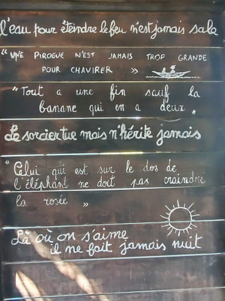 La Terre des Origines : l'Afrique La Terre des Origines : l'Afrique