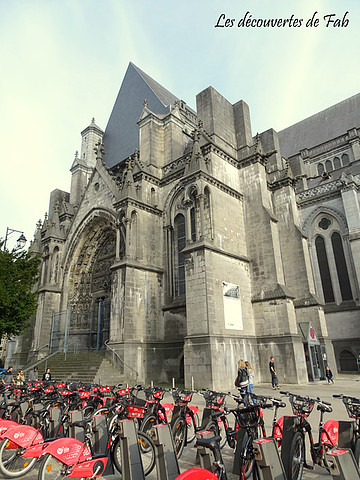 Cathédrale Notre Dame de la Treille Cathédrale Notre Dame de la Treille