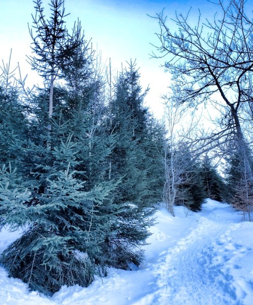 Noël en Alsace : Lac Blanc