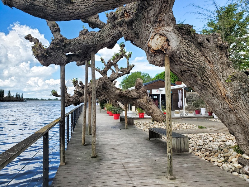Que faire à Vichy : guinguettes du Lac d'Allier Que faire à Vichy : guinguettes du Lac d'Allier