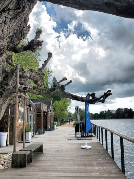 Le lac d'Allier Vichy Le lac d'Allier Vichy