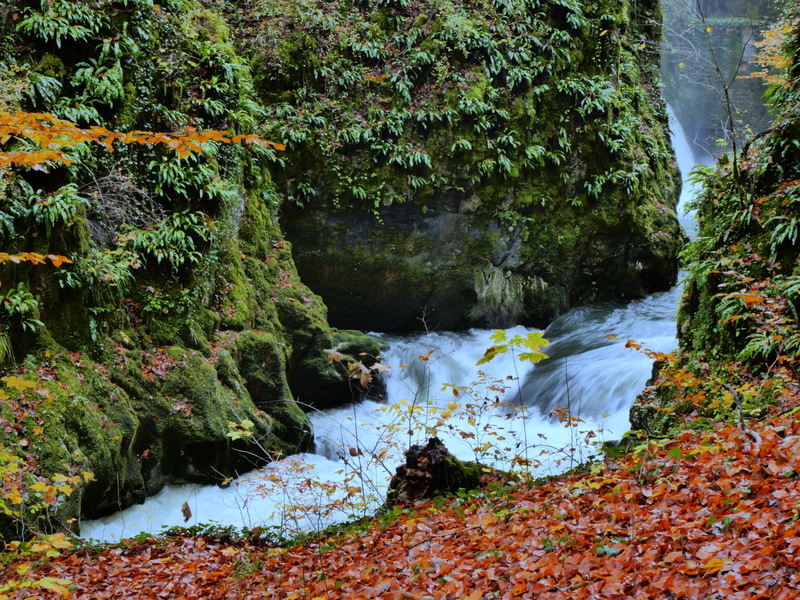 Que faire dans le Jura en automne ? Gorges et cascades de la Langouette Que faire dans le Jura en automne ? Gorges et cascades de la Langouette