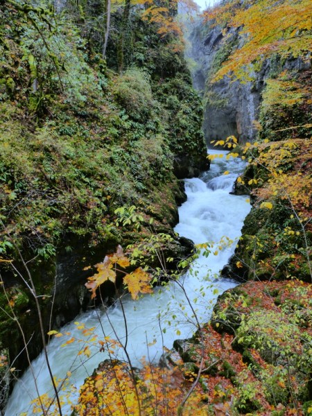 Que faire dans le Jura en automne ? Gorges et cascades de la Langouette Que faire dans le Jura en automne ? Gorges et cascades de la Langouette